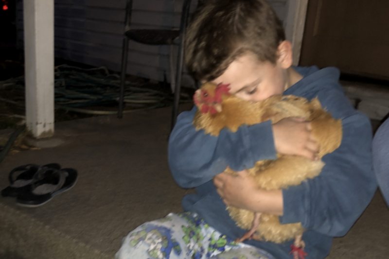 He Wouldn’t Let Go: The Secret of Nugget’s Disappearance