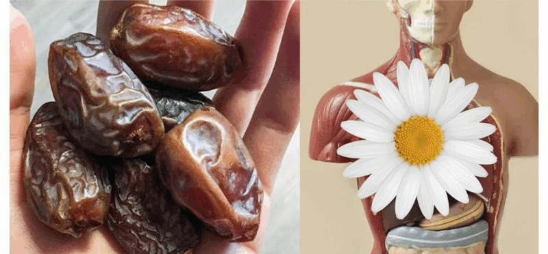 The Ultimate Superfruit: How Eating Three Dates Daily Transforms Your Health