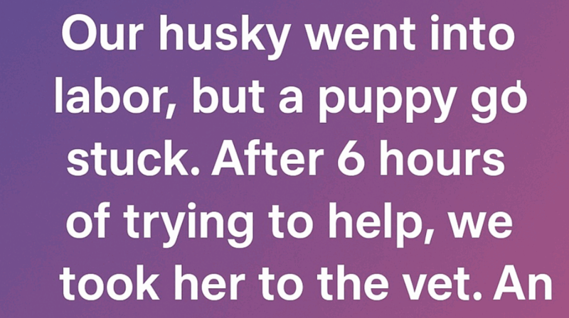 Luna’s Fight, Hope’s Victory: An Extraordinary Birth